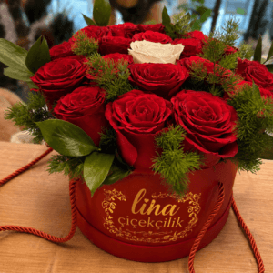 Romantik Kırmızı Gül Kutusu