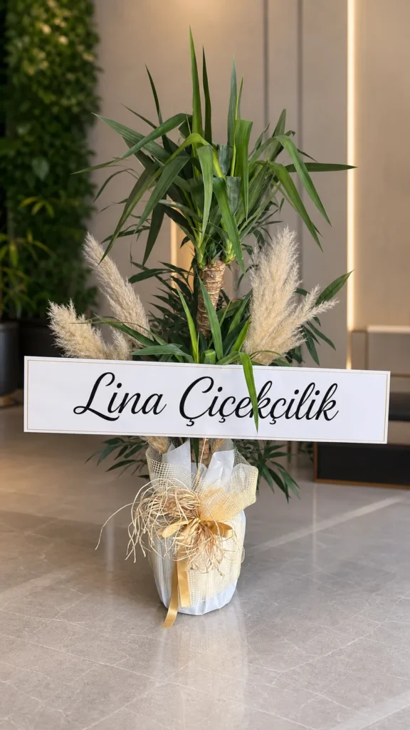Kurumsal ofis için yucca bitkisi